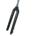 Carbon Fiber Fork - 29 inch Through Axle